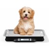 Helsevesen Little Animal Precision Scale(30kg/2g; 66lb/0.1oz), Digital Portion Control Scale,