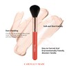 Juego de brochas de maquillaje profesional desde una matriz de