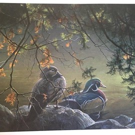 Limited Edition Print On The Pond-Wood Ducks-ROBERT BATEMAN