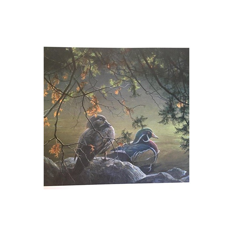 Limited Edition Print On The Pond-Wood Ducks-ROBERT BATEMAN
