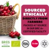 Berrilys Organic Dried Tart Cherries, 10 Oz, Pitted, Great for