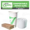 20 oz Compostable Paper Cups with White Flat Lids and