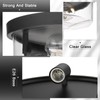 Luminzone Flush Mount Ceiling Light with Clear Glass Shade, 3-Light