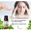 Herbolare - Aceite esencial de Menta Arvensis10 ml. Deliciosa frescura