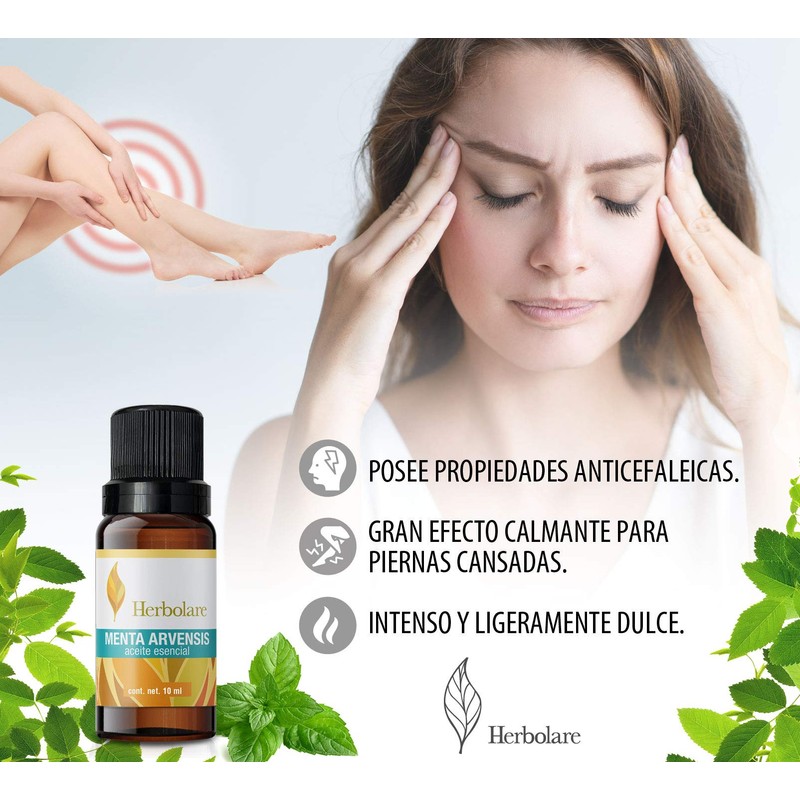 Herbolare - Aceite esencial de Menta Arvensis10 ml. Deliciosa frescura