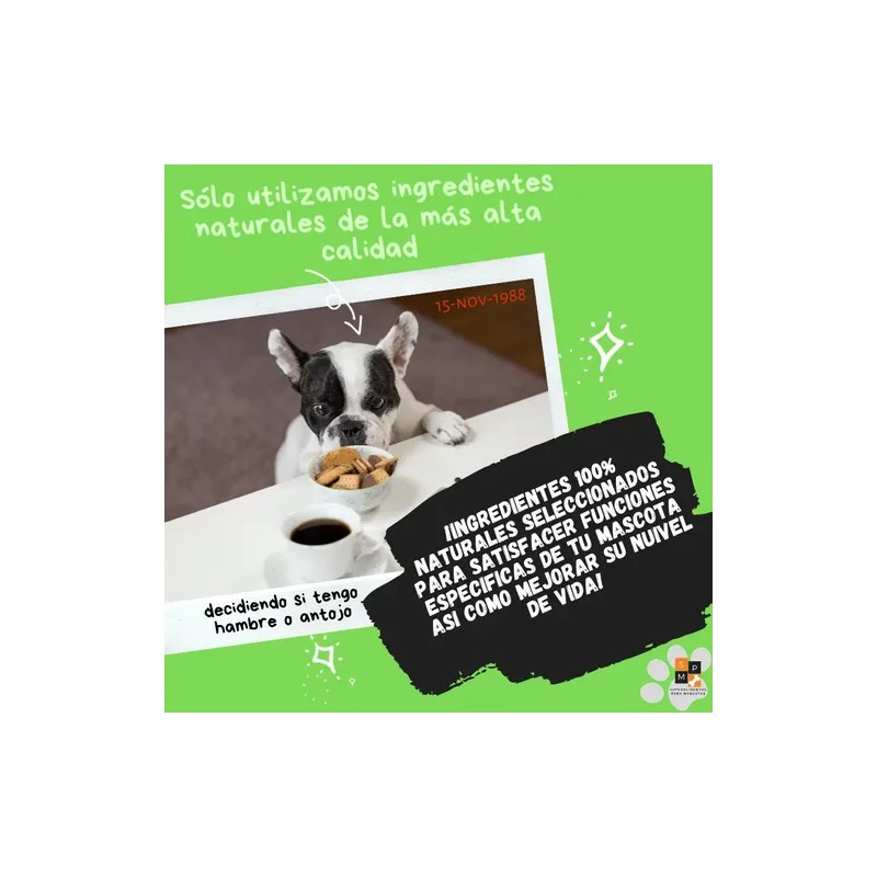 Fibra Prebiotica Natural Para Perro Y Gato Salud Intestinal