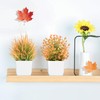 Der Rose 2 Pack Small Fall Fake Plants Mini Artificial