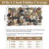 FANTIAN 20 lbs River Rocks for Plants, 1-2 Inch Decorative