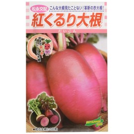 Matsunaga Seedling Co., Ltd. Matsunaga Seedlings, Matsunaga Crossbreeding, Red Kururi Daikon Radish (Daikon), Small Bag 0.1 fl oz (3 ml)