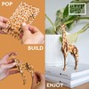 Little & Wood: Woodlet: Medium - Moose - Brown, 3D