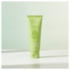 non-plane Be-Plain Mung Bean Mildly Acidic Cleansing Foam 80ml 1