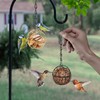 Fat Ball Bird Feeder, Fat Ball Feeder Hanging, Fat Ball