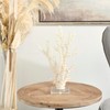 Deco 79 Polystone Coral Decorative Sculpture Home Decor Statue with