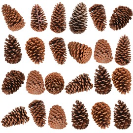 Huwena 24 Pcs PineCones Large Natural Unscented Pine Cones Bulk Rustic Christmas Tree Ornaments Decorative No Chemicals for Crafts DIY Wreath Home Wedding Decoration (5-6 Inches)