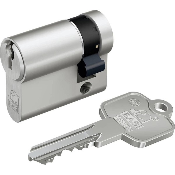 BASI V50 Lock Cylinder, Keyed Alike and Freely Combinable, Many