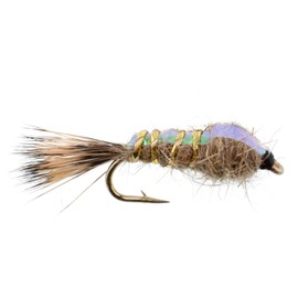 The Fly Fishing Place Weighted Nymph Fly Fishing Flies - Flashback Gold Ribbed Hare's Ear Trout Fly - 6 Flies Hook Size 14