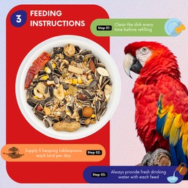 ABBA 3500 Wholesome Parrot Food, Seed Mix, Nuts, Fruits, Veggies, Vitamins - 5 lbs