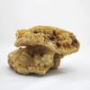 Reef Rock, 21 x 17 x 13 cm, Rock Stone