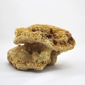 Reef Rock, 21 x 17 x 13 cm, Rock Stone Replica, Sea Water Aquarium Decoration