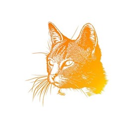 Ginger Cat Notebook: Do you love your pet ginger cat? Do you have a passion for those fluffy friends? This ginger cat notebook is a perfect gift idea for any cat owner.