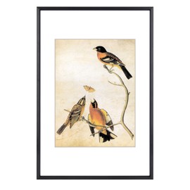 BKABOT 8x12 Picture Frame, Black Metal Photo Frames with HD Glass, Fits 6x8 with Mat or 8 x 12 without Mat, Display for Wall and Table, 1 Pack