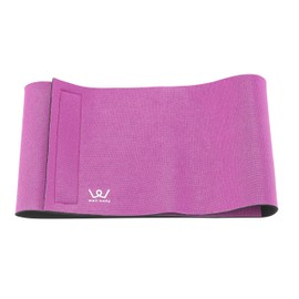 ALINCO WBN223 Diet Supporter