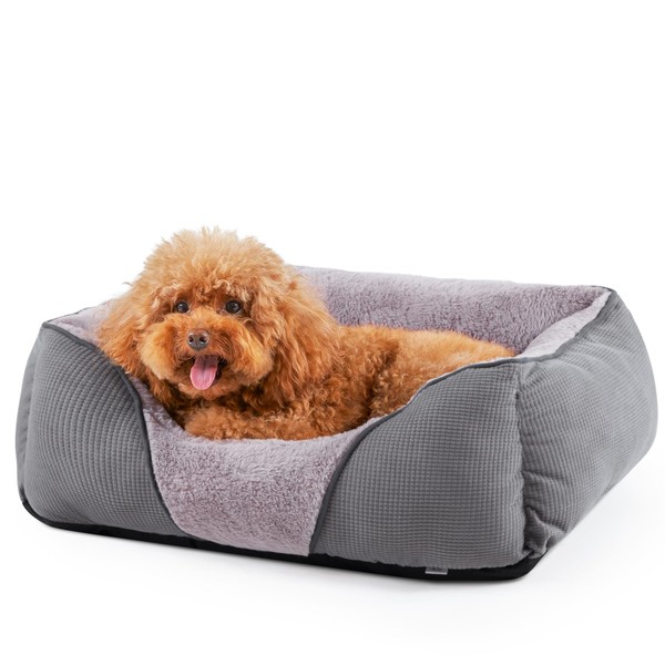 MIXJOY Dog Beds for Small Medium Dogs, Calming Dog Bed Small Size Dog, Cat Beds for Indoor Cats Washable, Soft Rectangle Pet Beds Sofa Cuddler, Orthopedic Puppy Sog Bed, Anti-Slip Bottom(25x21in,Grey)