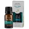 SpaRoom Aromatherapy 100% Pure Undiluted Essential Oil, Purify Tea Tree,