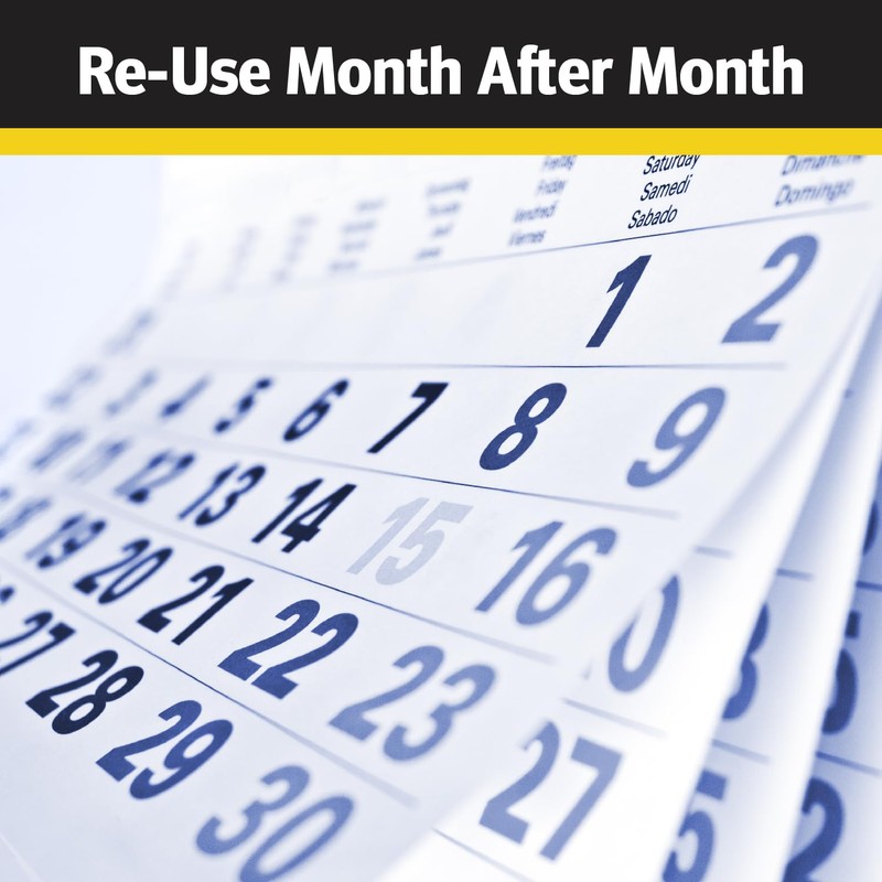 Raid Yellow Jacket, Wasp & Hornet Trap, 1 Count, Reusable,