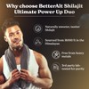 BetterAlt Ultimate Power Up Duo | Shilajit GOLD+ Honey Sticks