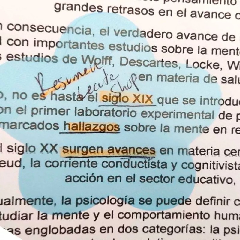 Post 600 Figuras Post It Transparentes Notas Adhesivas Kawaii