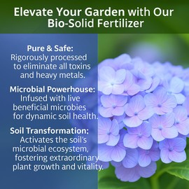 𝐁𝐄𝐒𝐓𝐒𝐄𝐋𝐋𝐄𝐑 Slow Release Hydrangea Fertilizer with Iron & Sulfur – Indoor & Outdoor Soil Acidifier for Miracle Growth - 2 QUARTS