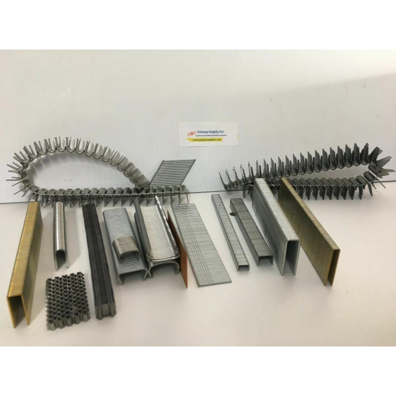 spotnails 35504 50 staples 1/2" Crown, 1/4" Leg Gala.5000 pcs