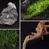 5 PCS Transparent Crystal Fishing Line for Aquarium Grass Tank,