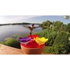 3-Pack - ZUMMR Hummingbird Ring Feeder - Hand Feed Hummingbirds