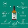 Life180 Serum de Tea Tree , 52 ml (100 Porciones)