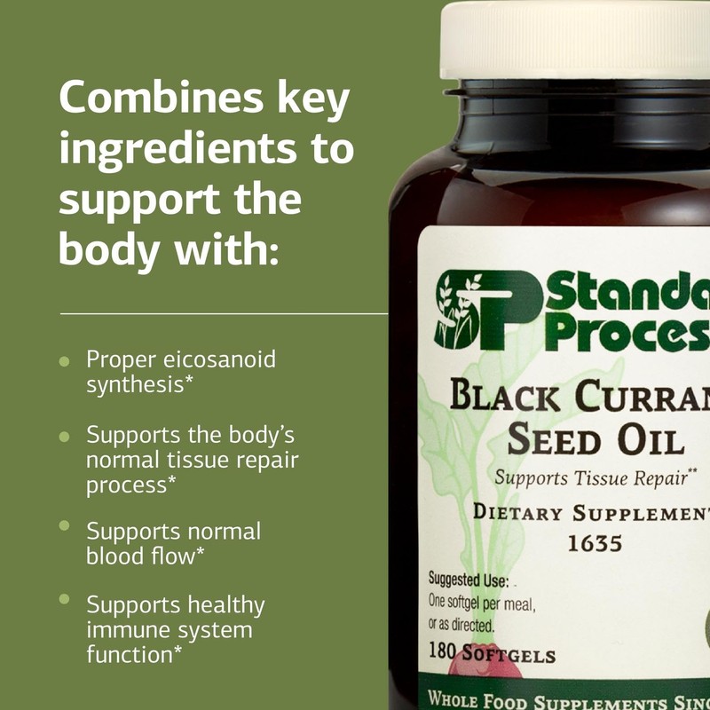 Standard Process Black Currant Seed Oil Dietary Supplement - Gluten-Free