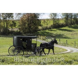Historic Pictoric Photo - an Amish Horse, Buggy, and Rider or Riders Clip-clop Down a Country Road in Holmes County, Ohio, Near Walnut Creek- Fine Art Photo Reporduction 12in x 08in