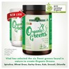 Vital Organic Just Greens Powder 200g
