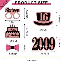 16th Birthday Decorations for Girls, Black Rose Gold Sweet 16 Photo Booth Props Sweet 16 Party Decorations Selfie Props Vintage 2009 Sixteen Centerpiece Sticks Happy 16th Birthday Party Supplies Sign