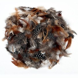 Creation Station CT3170 Natural Feathers, 14g