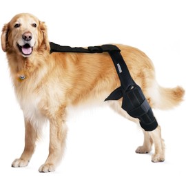 Dog Knee Brace for Hind and Rear Leg, Support for Dog ACL CCL Cruciate Ligament Injury Joint Pain and Muscle Sore, Size L