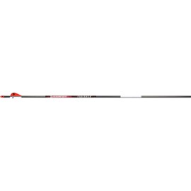 BLOODSPORT Punisher Arrows 400 2 in. Vane 6 Pk, Black
