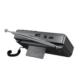 XHDATA D368 Portable Short Wave Radio FM AM SW 12 Band DSP Stereo Radio MP3 Player Wireless High Sensitivity Reception Support Micro SD Card and USB, Good for Parents, Japanese Instruction Manual Included