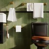 WZRUA Toilet Paper Holder Wall Mount Brushed Gold Double Post