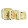 Sass & Belle Garden Friends Lunch Boxes - Set of