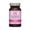 Kala Health Pasteurized Akkermansia – 30 Billion CFU – 30