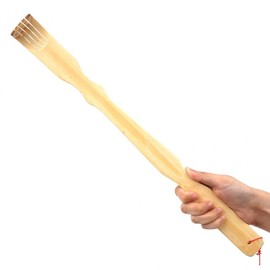 classic bamboo Filial offspring 6ea