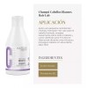 Saler Shampoo Cabellos Blancos Canas Rubio Hairlab Salerm 300ml