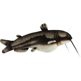 BH8582 HANSA Catfish 37
